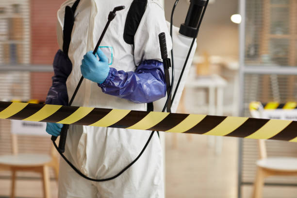 Professional Hoarding Cleanup technician working in Hecker, IL