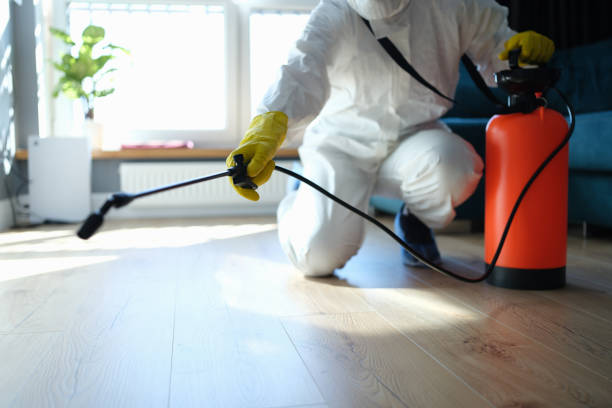 Trusted Sewage Cleanup service in Hecker, IL - Four Month Blood Cleanse